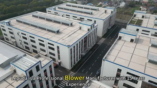 High-Precision Rechargeable 2pd Side Channel Blower for Efficient Use